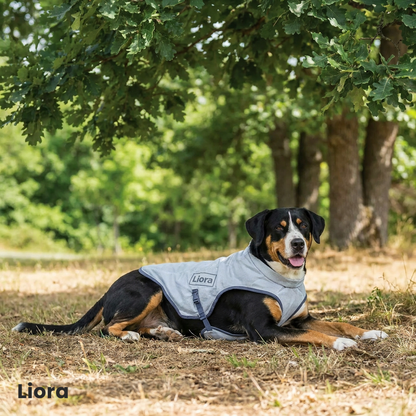 Liora - product_image_position_3